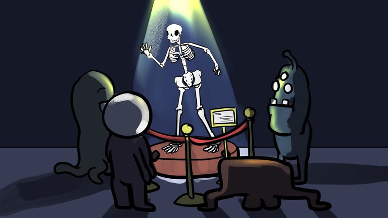 The skeleton exhibit